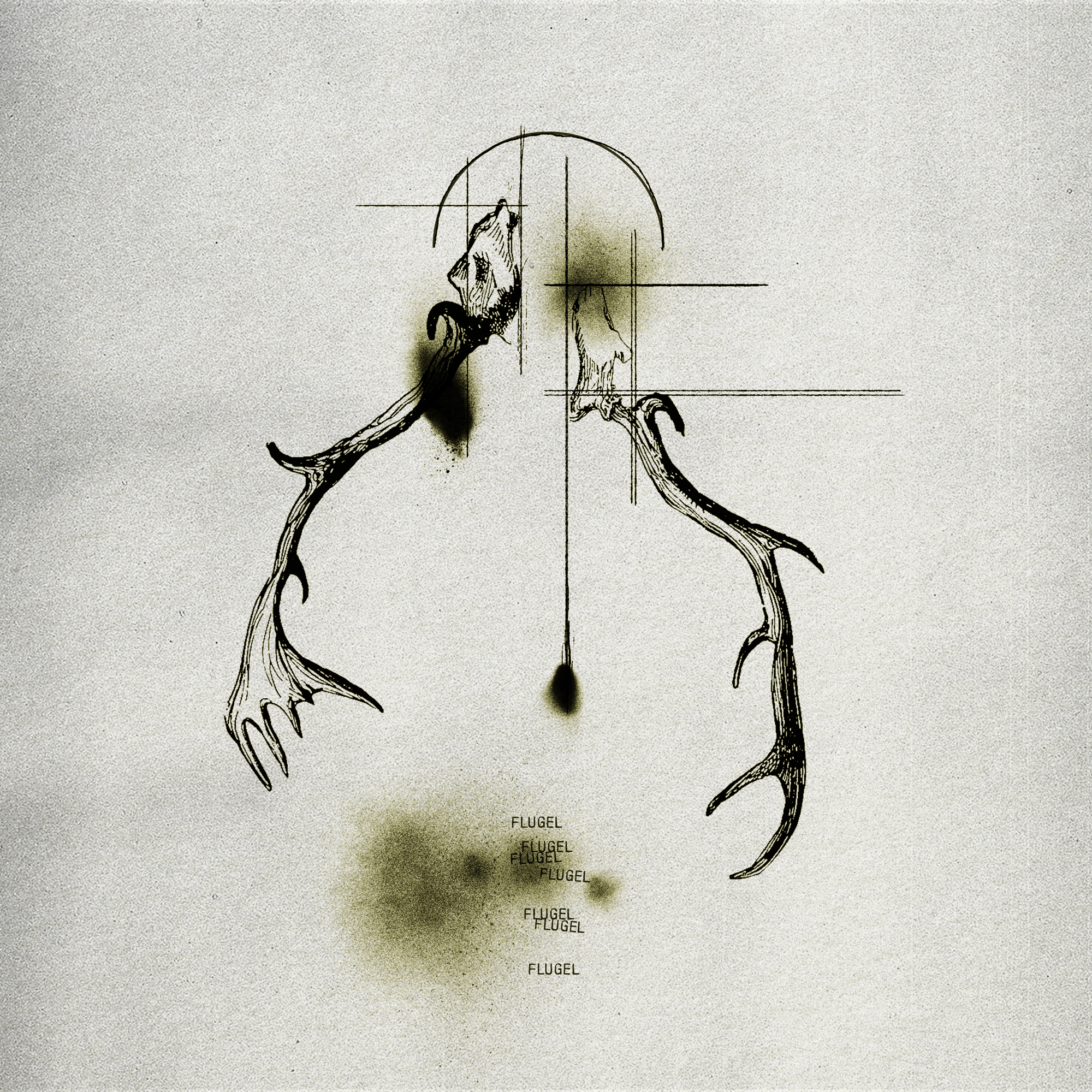 【2点セット】cinema staff DVD 前衛懐古主義 、回天の渋谷 2点セット】cinema staff DVD 前衛懐古主義 、回天の渋谷 cinema